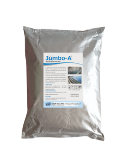 Men vi sinh hiếu khí