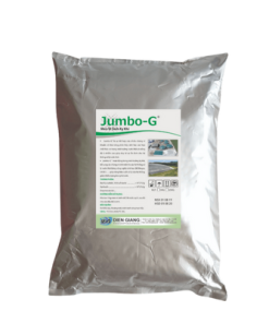 Men vi sinh kỵ khí