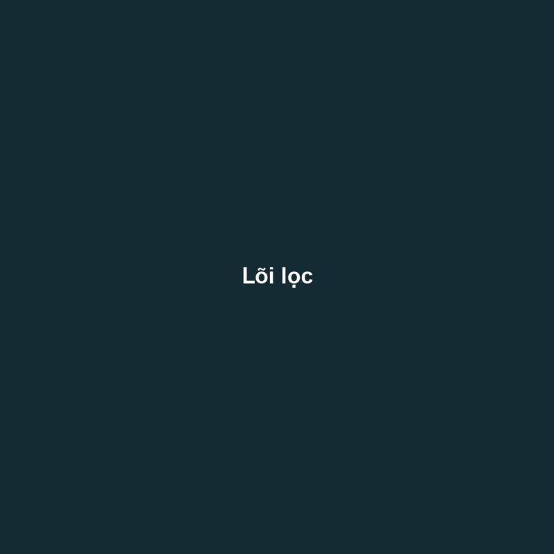 Lõi lọc
