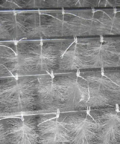 Giá thể vi sinh dạng sợi